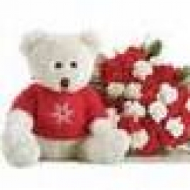 Teddy With Red And White Carnations Bunch